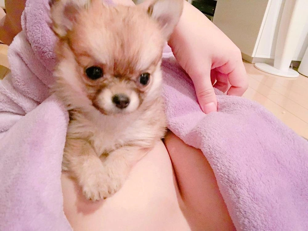 열도의 I컵