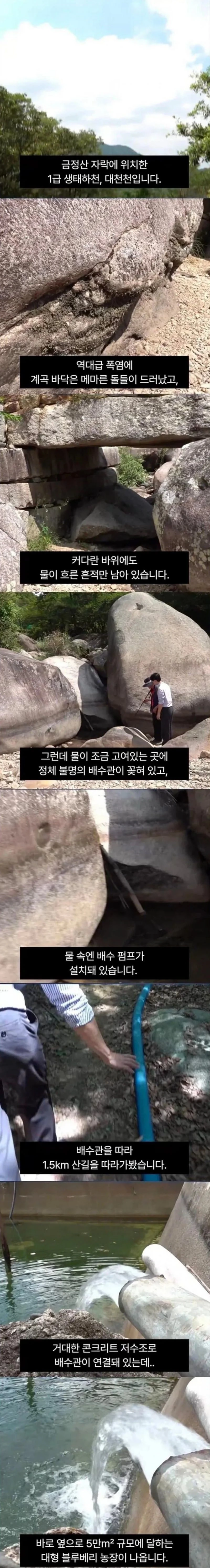1급 생태하천 말라가는데 황당한 물 도둑