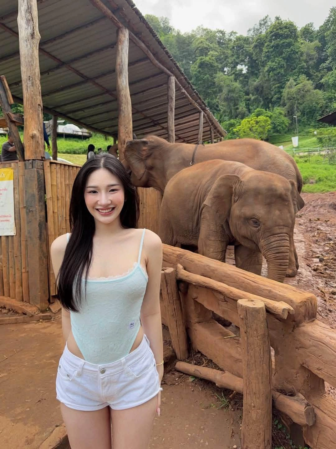 꼬끼리