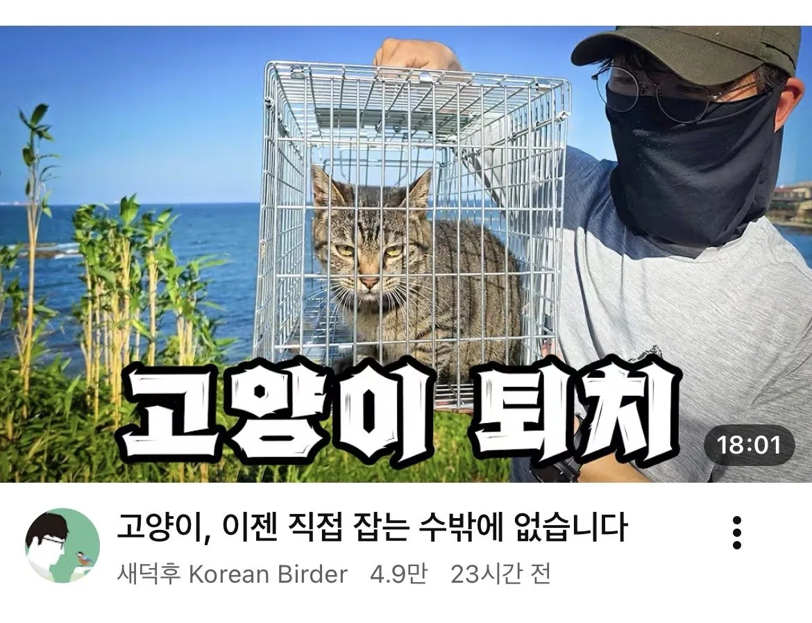 유튜버 새덕후 근황
