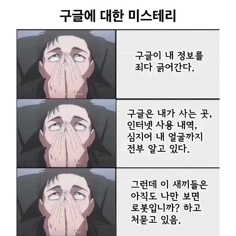 구글의 미스터리