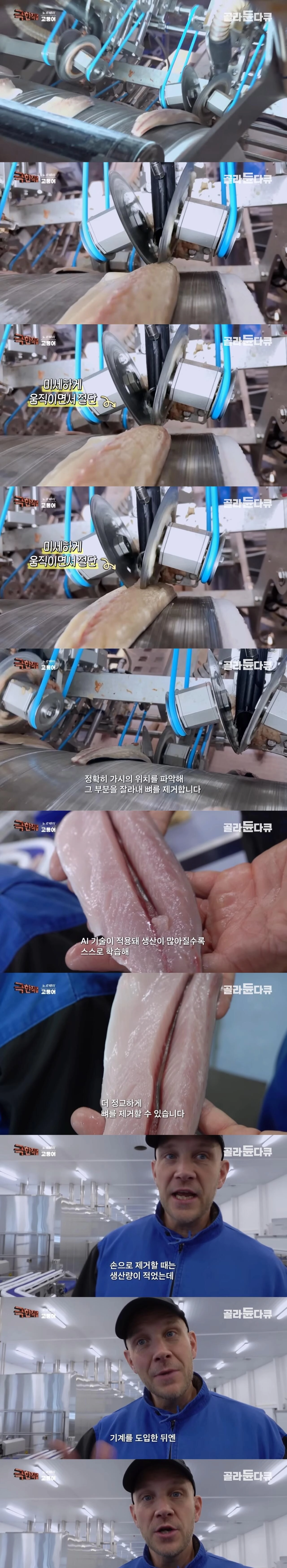 사람 다 잘리고 자동화된 고등어 공장 근황