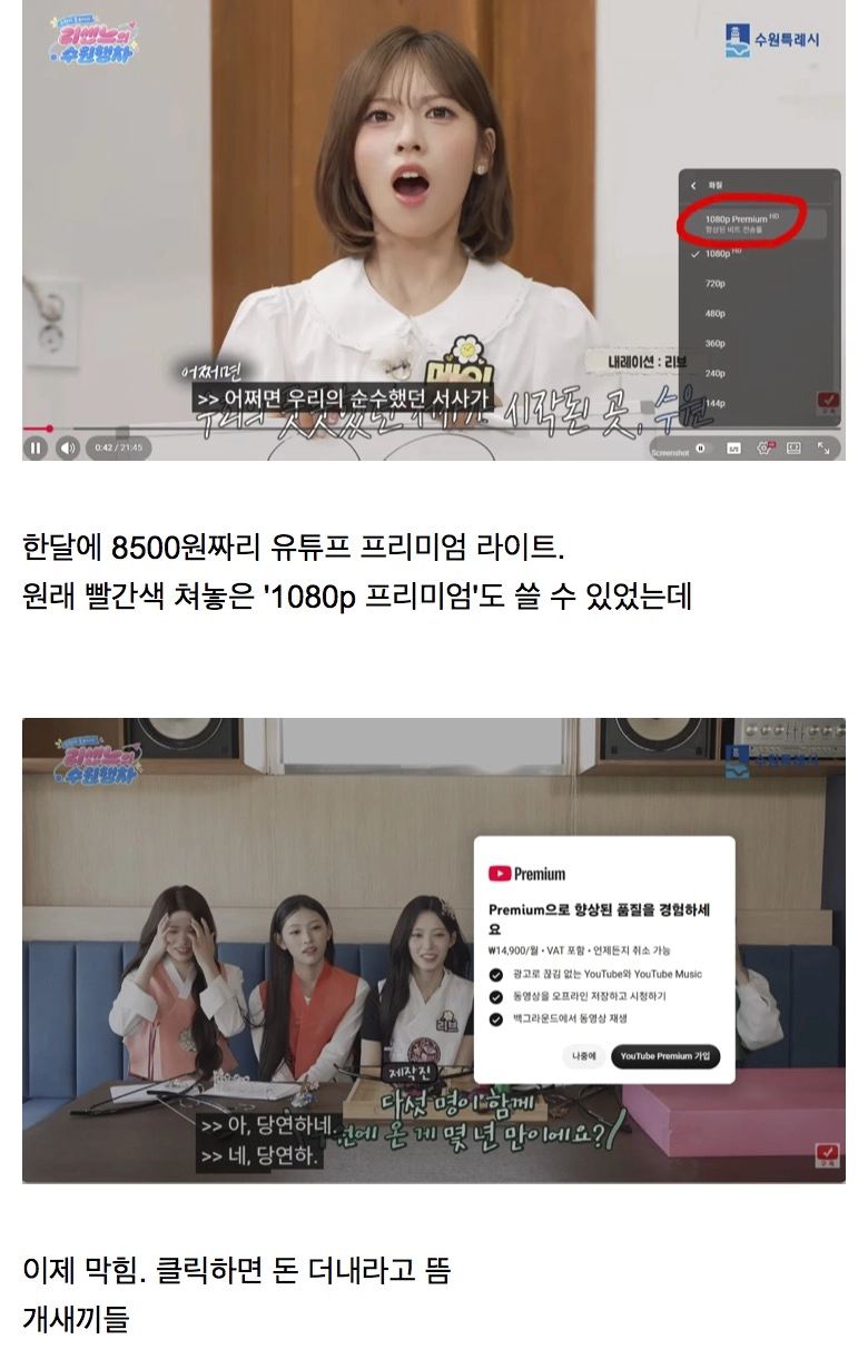 유튜브 프리미엄 라이트 근황