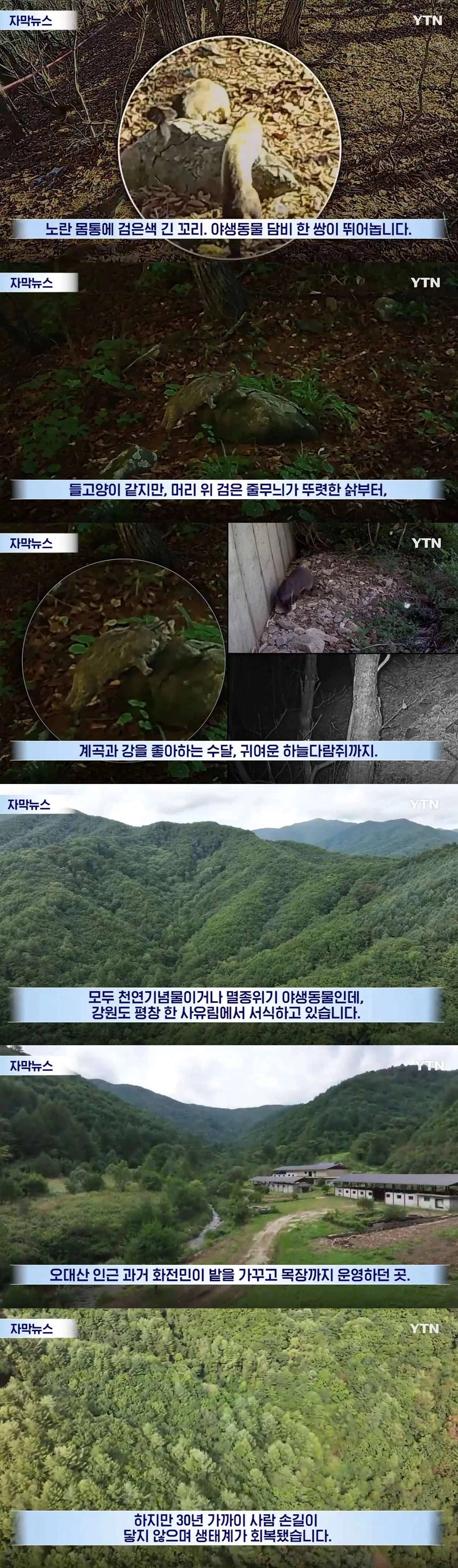수십억 들여 숲 사놓고 아무것도 안 한 이유