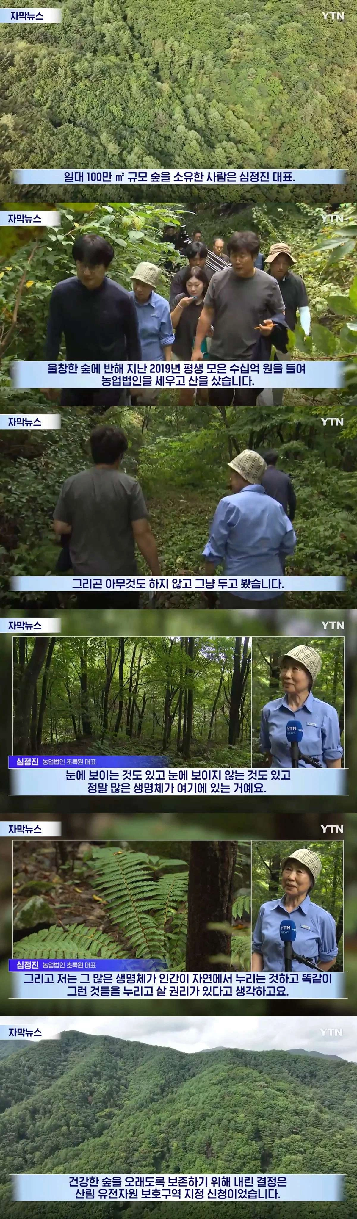 수십억 들여 숲 사놓고 아무것도 안 한 이유