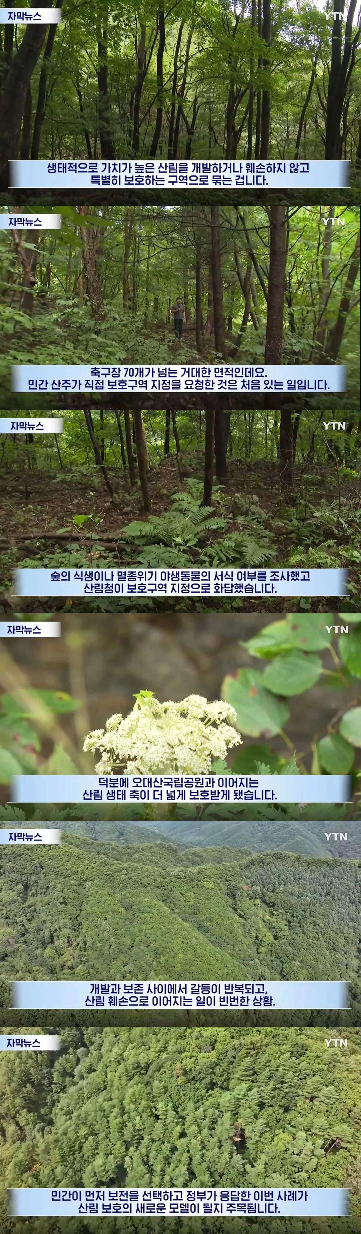 수십억 들여 숲 사놓고 아무것도 안 한 이유