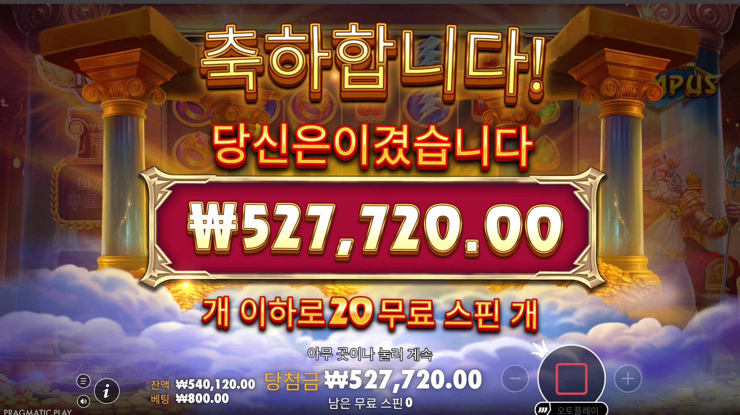 포춘올푸 리뷰