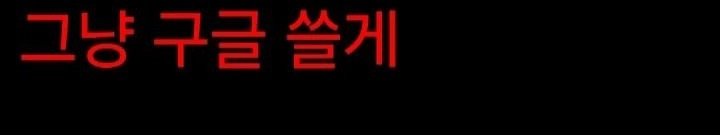 검색할때 네이버 안쓰는 이유