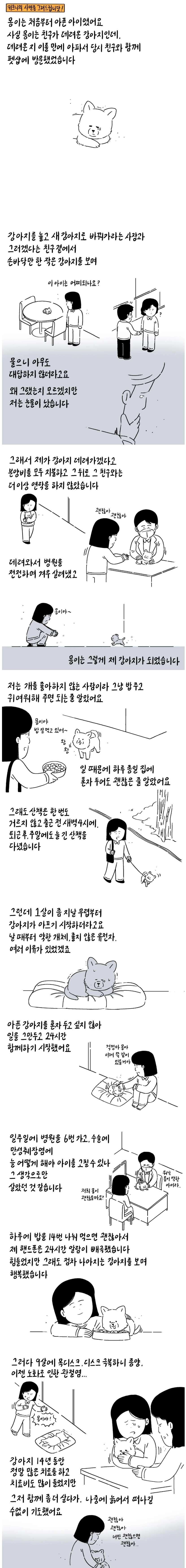 친구가 펫샵에 파양한 강아지 데리고 와 지극정성으로 키운 사연자