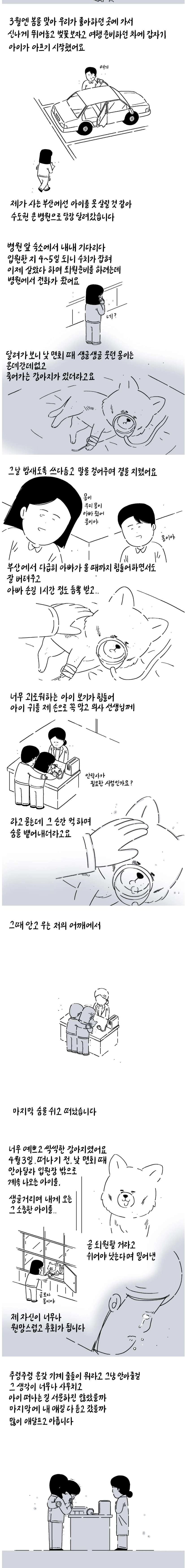 친구가 펫샵에 파양한 강아지 데리고 와 지극정성으로 키운 사연자