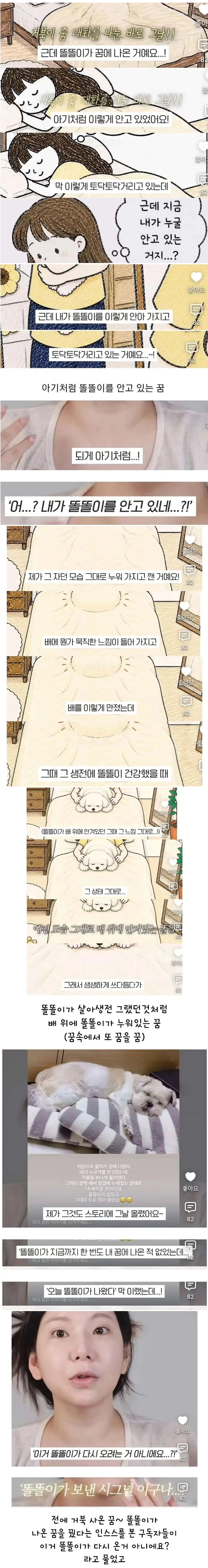 세상 떠난 반려견이 딸로 돌아온거 같다는 유튜버