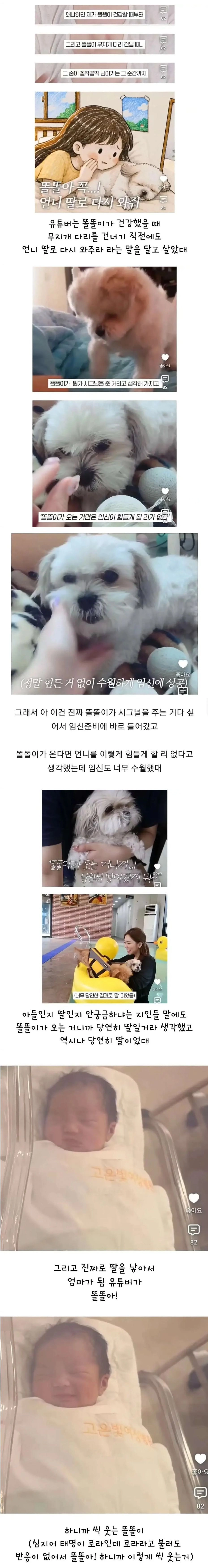 세상 떠난 반려견이 딸로 돌아온거 같다는 유튜버