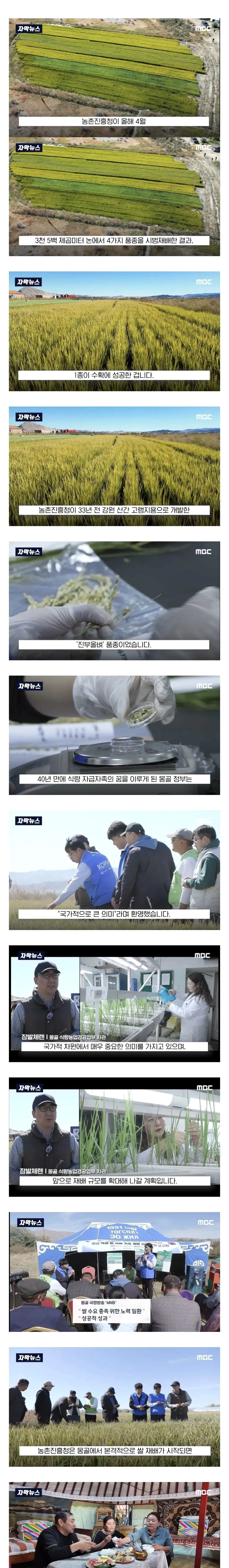 몽골이 한국을 좋아하는 이유