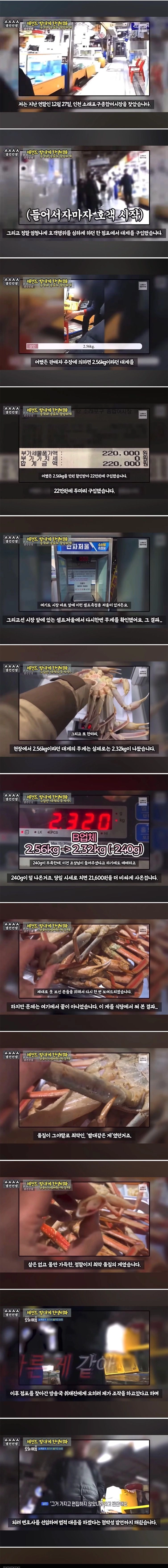 대게 구입 잘못했다가 미쳐버린 유튜버