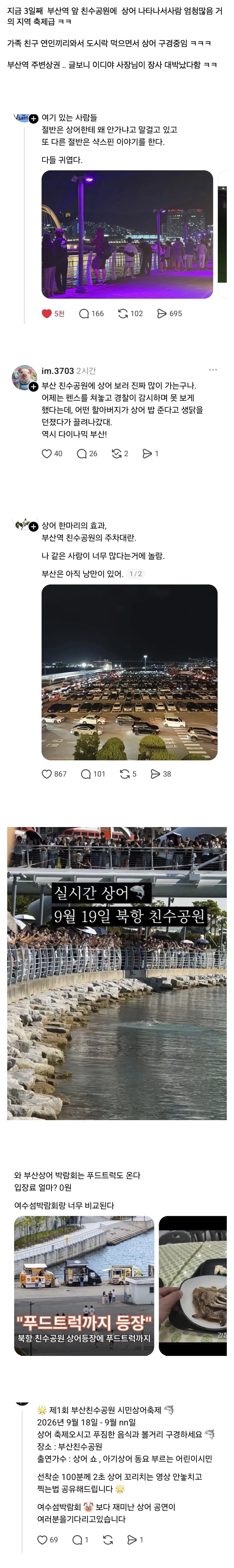 제작비0원인데 여수박람회보다 인기 있다는 부산 상어 축제 상황