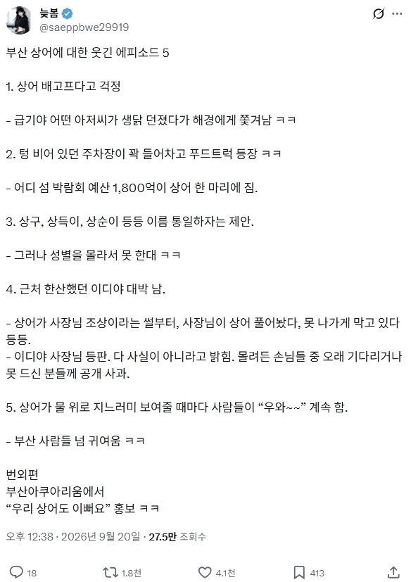 제작비0원인데 여수박람회보다 인기 있다는 부산 상어 축제 상황