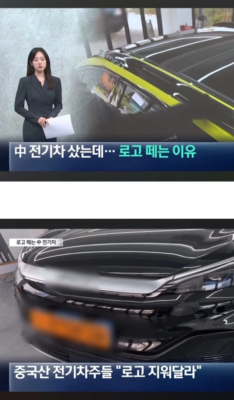 BYD 전기차 로고 떼는 이유