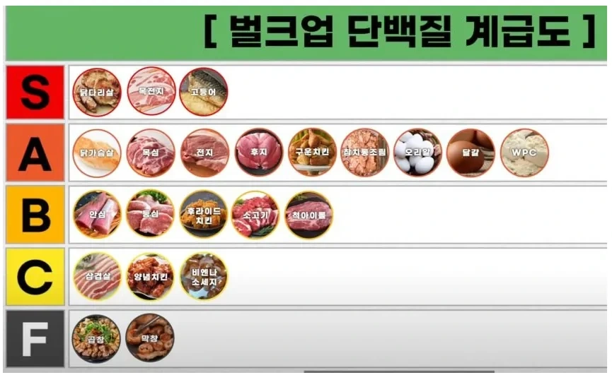 벌크업 단백질 계급도