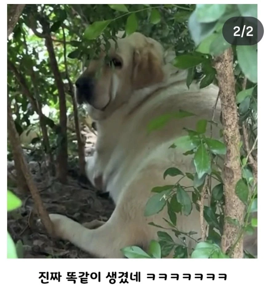 ]정직한 표지판
