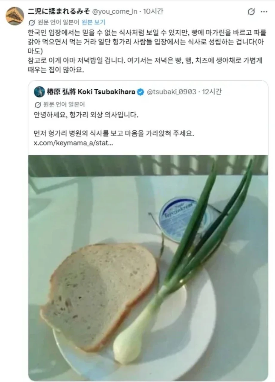 한국인은 안믿는 헝가리 병원 식사