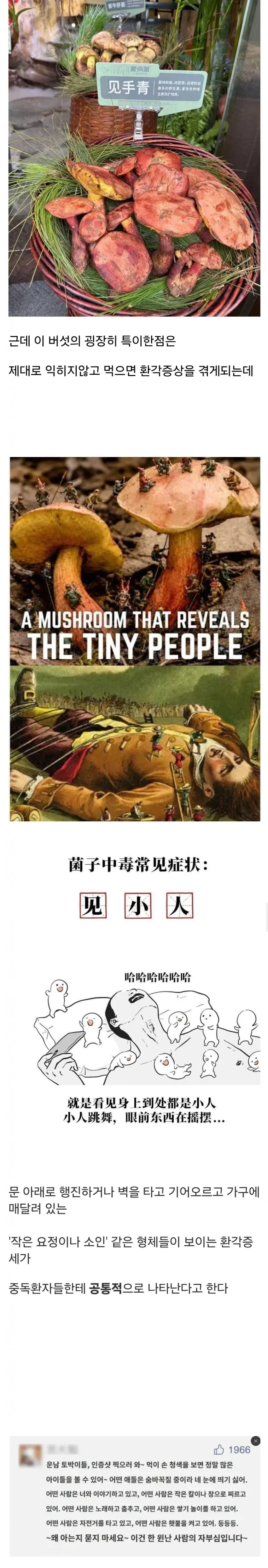 먹으면 이상한 환각이 보인다는 독버섯