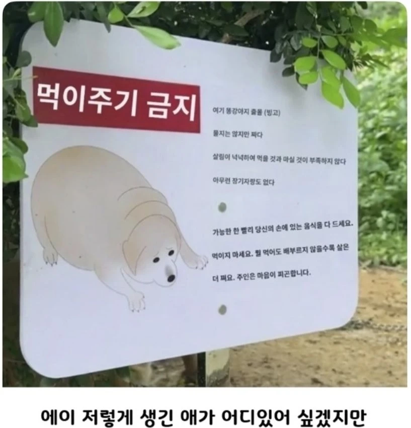 ]정직한 표지판
