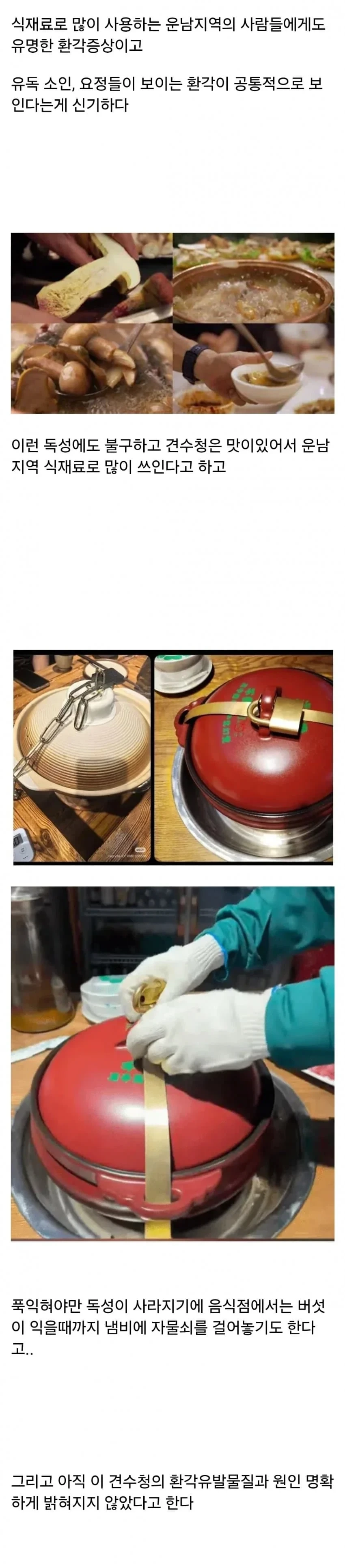 먹으면 이상한 환각이 보인다는 독버섯