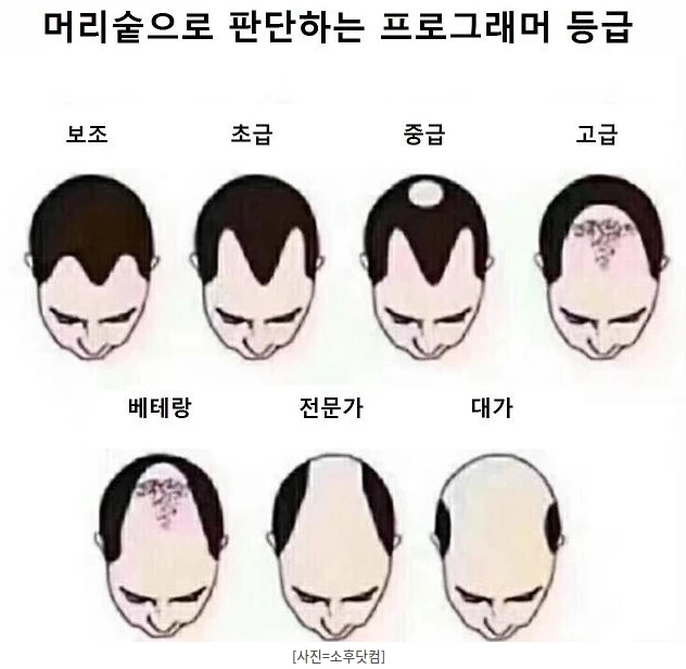 프로그래머 등급