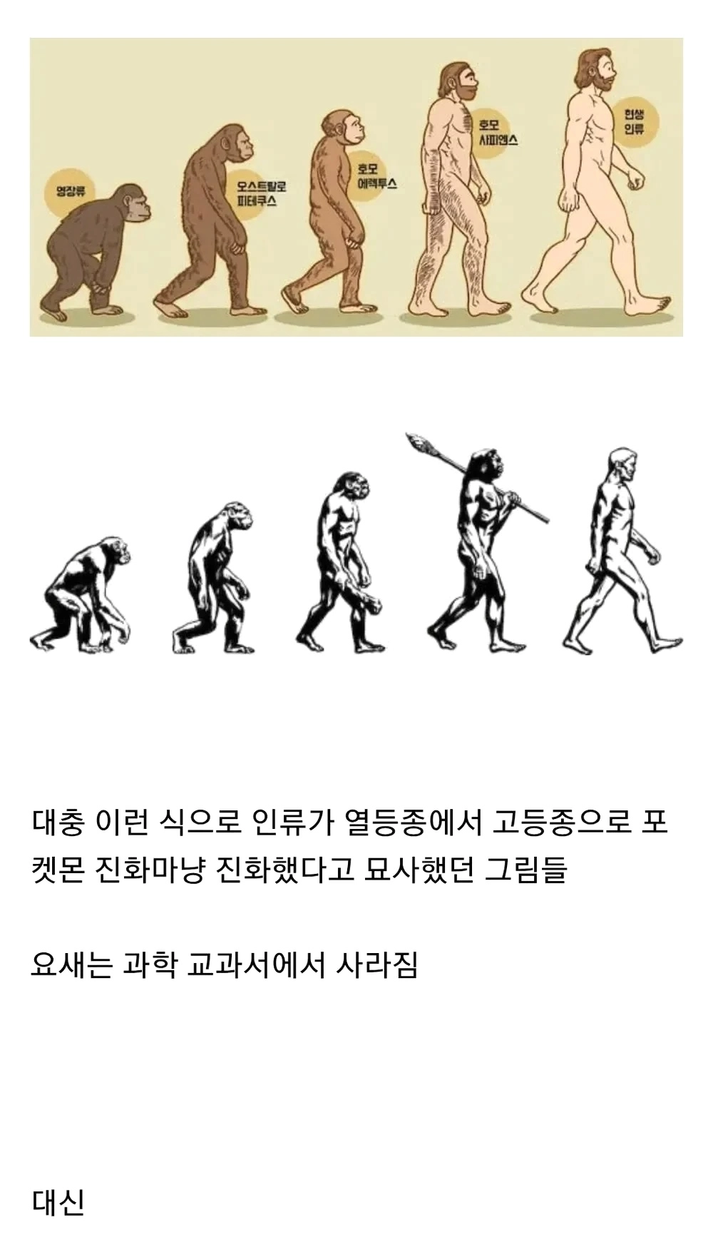 의외로 교과서에서 삭제된 그림