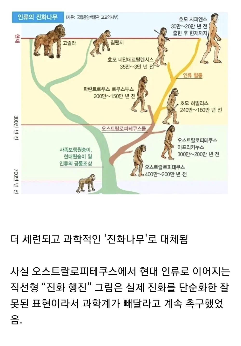 의외로 교과서에서 삭제된 그림