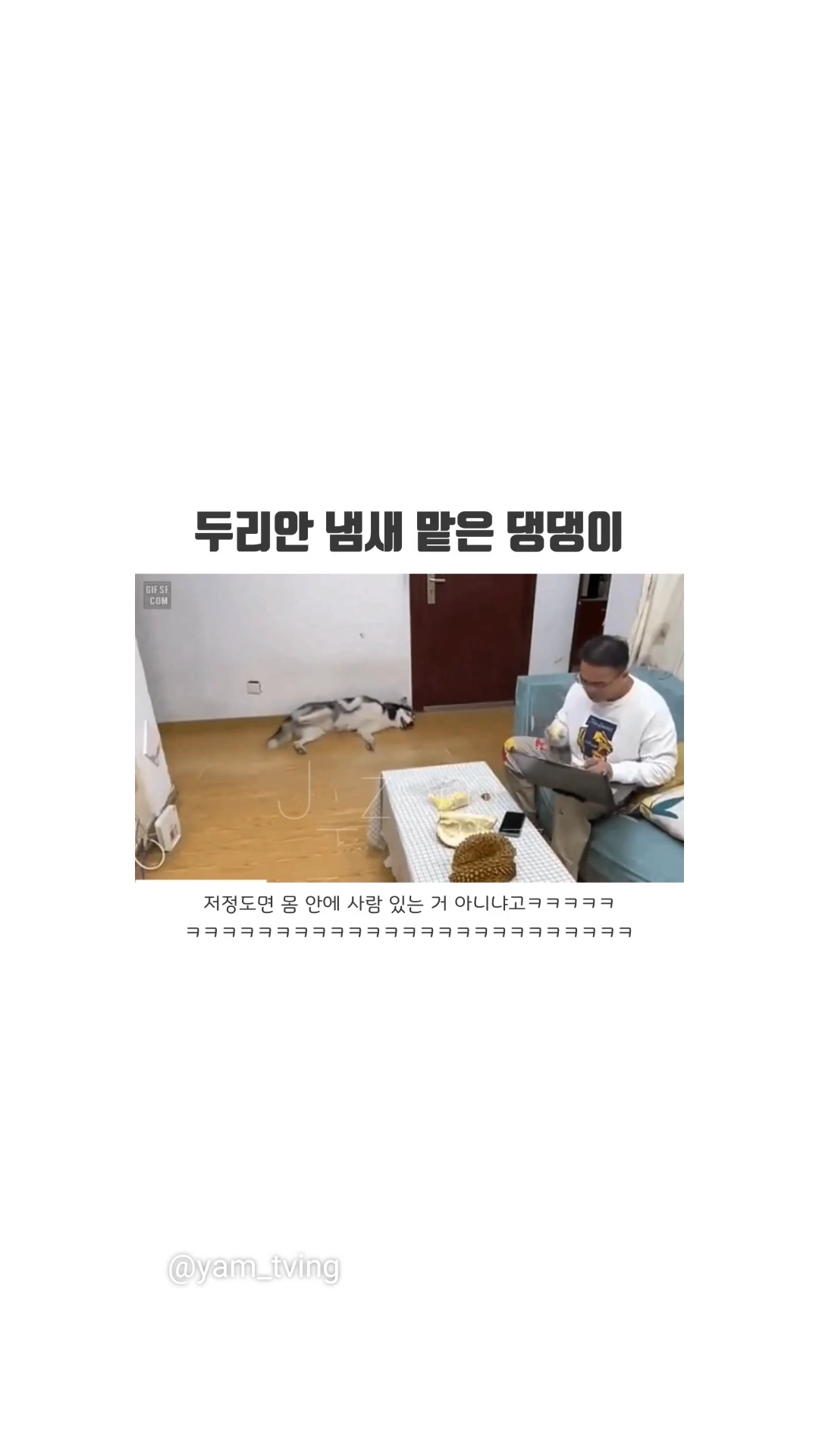 두리안냄새 맡은 댕댕이