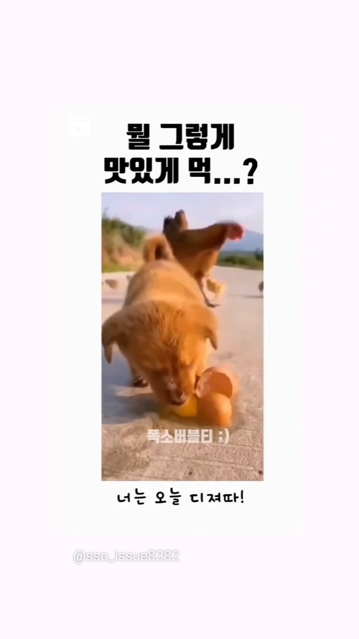 너는 오늘 디졌다 !