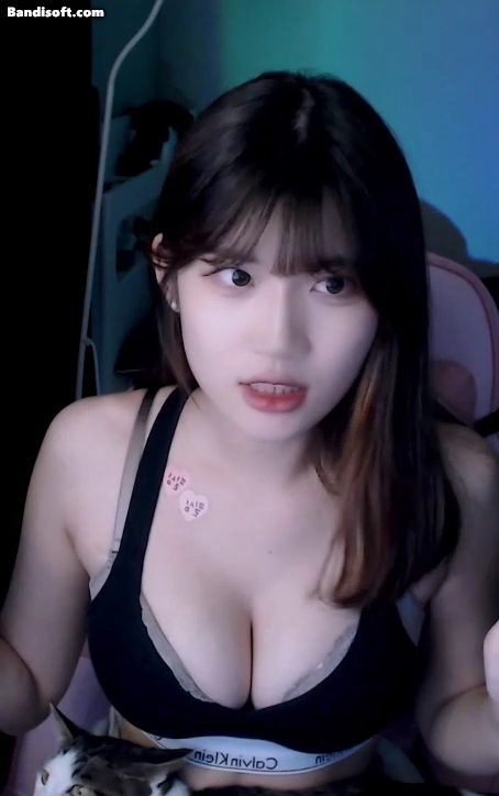 고라니율 속옷 방송