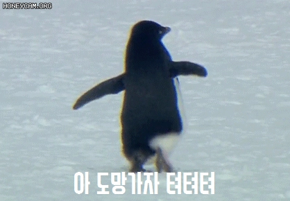이반 추석은 글렀다