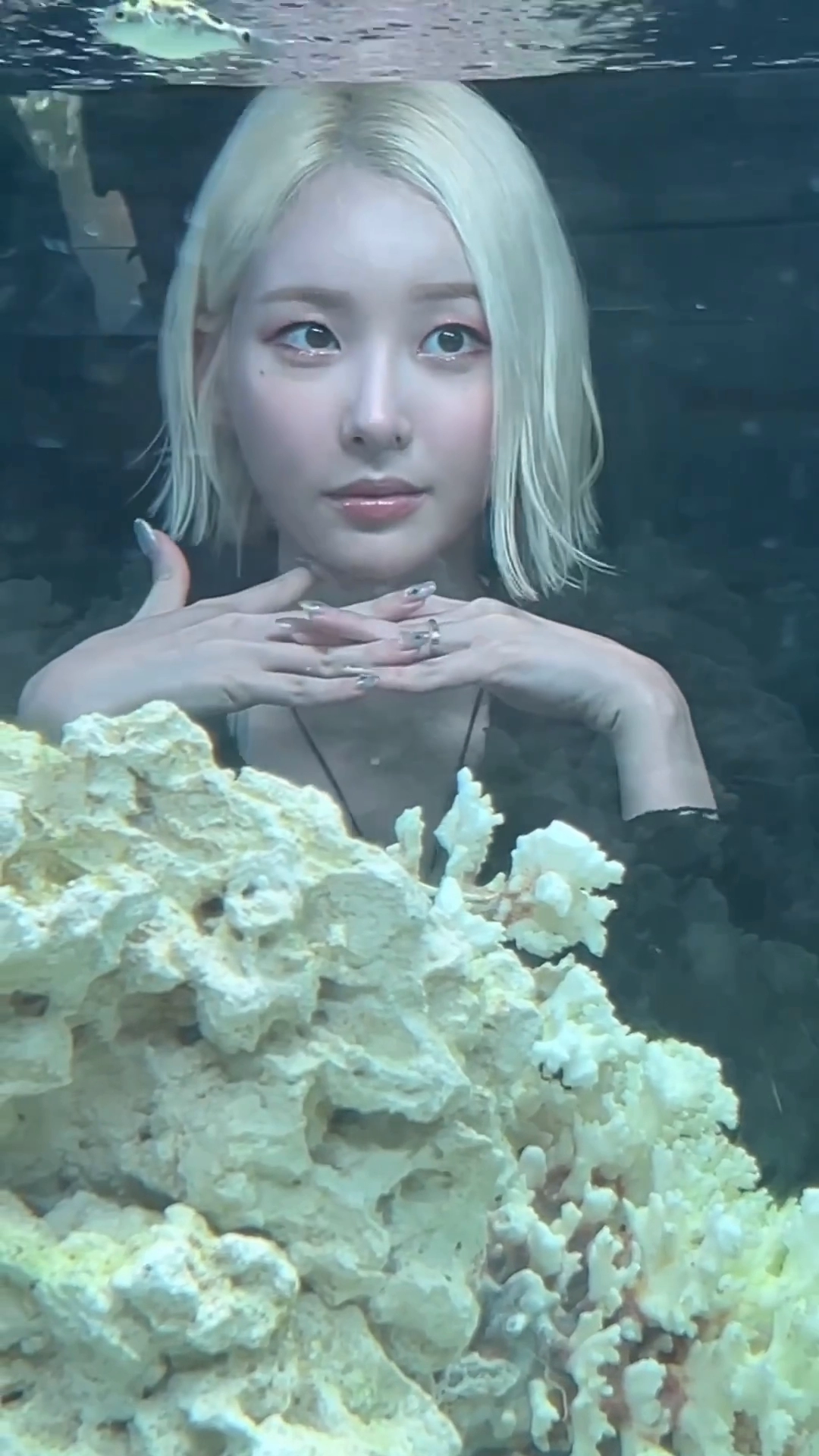 서현숙 치어리더