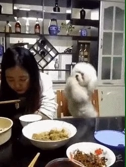 나도 좀 줘라