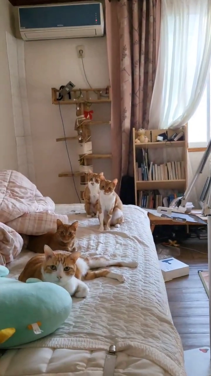 퇴근후 집에 왔는데,,,