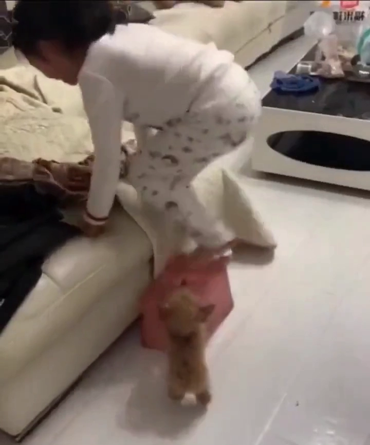 아기 강아지 훈련시키는 어린 여동생