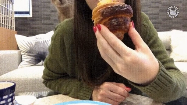 뭐 먹냥?