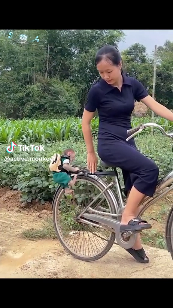 원숭이 키우고싶다