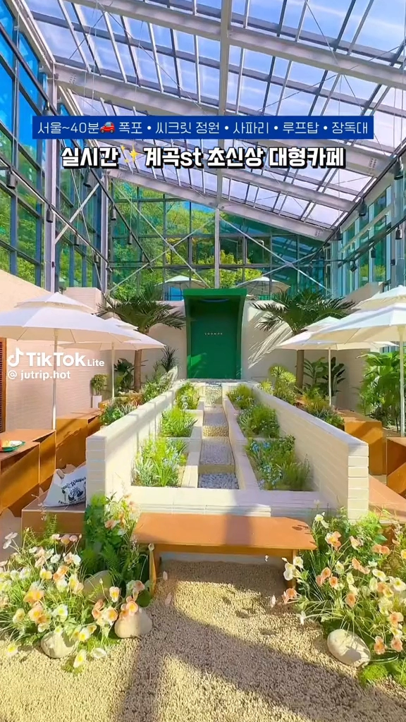 계곡초신상카페