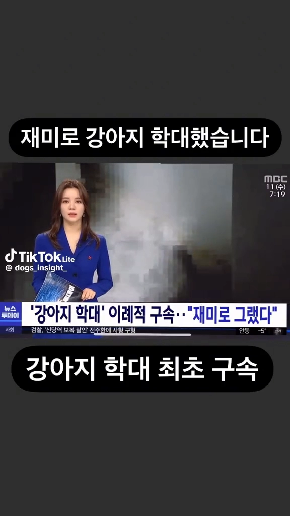 강아지학대 최초구속