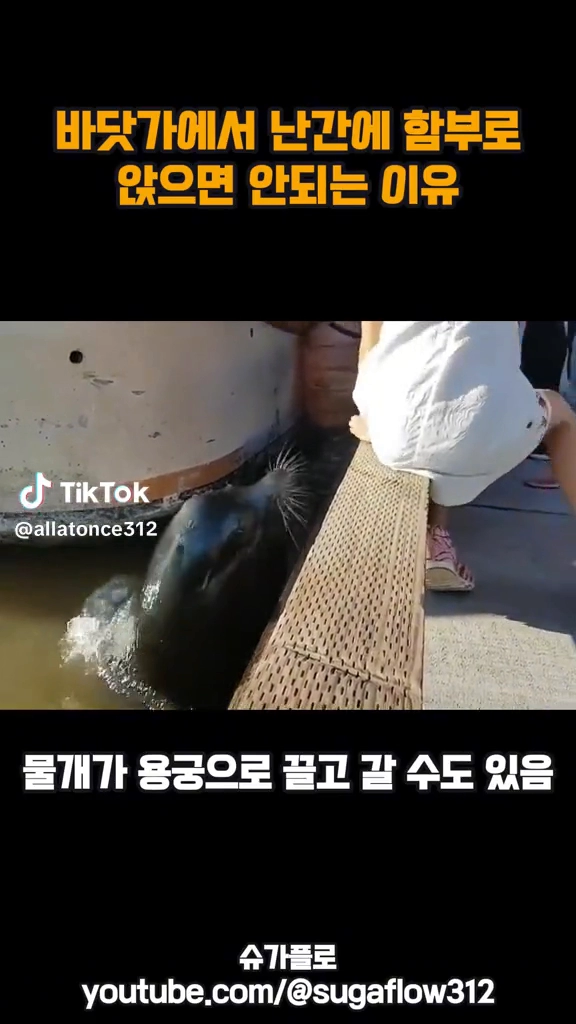 바닷가에서 ....