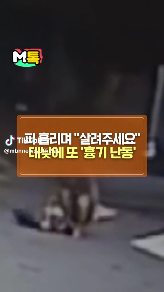 흉기난동