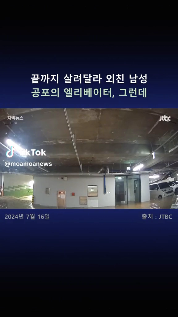차빼려다 목숨 뺏겼다