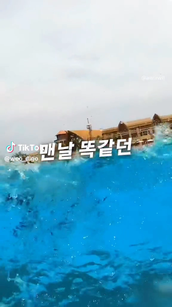 나태지옥수영장
