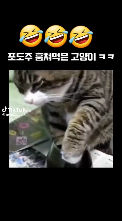 포도주 훔쳐먹은 고양이