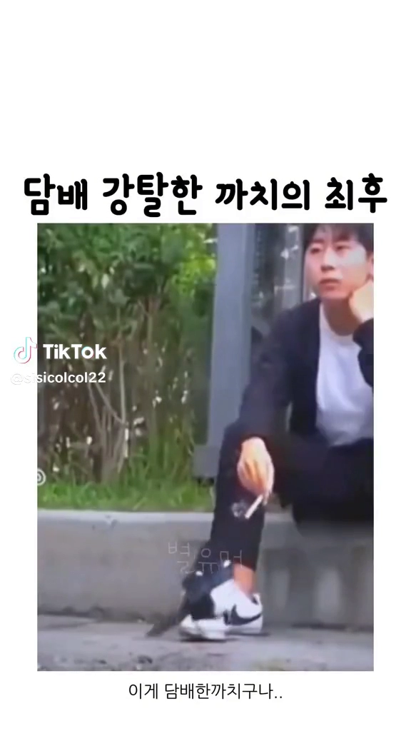 담배 강탈한 까치의 최후