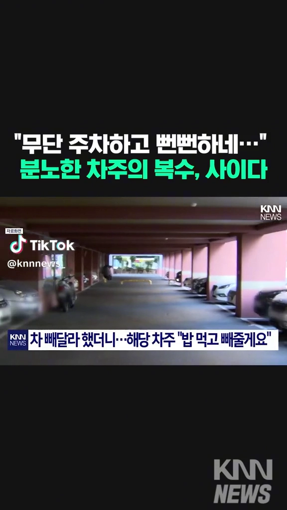 차주의 사이다복수