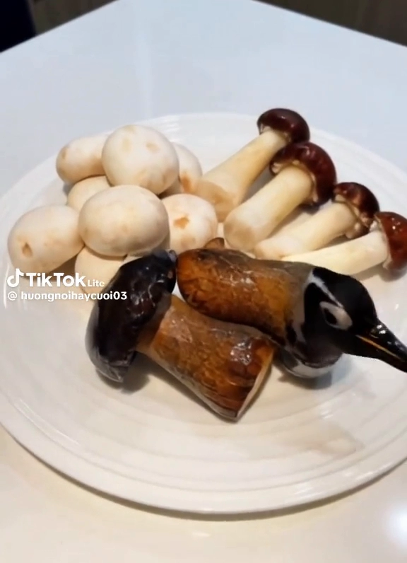 버섯인줄 알았는데 깜놀